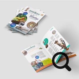 periodiek tijdschrift 